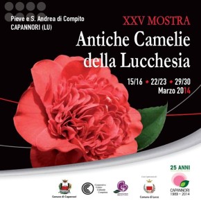 Escursione "dalle Parole d'Oro al Borgo delle Camelie" in occasione della XXV Mostra Antiche Camelie della Lucchesia 