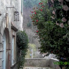 Escursione "dalle Parole d'Oro al Borgo delle Camelie" in occasione della XXV Mostra Antiche Camelie della Lucchesia 