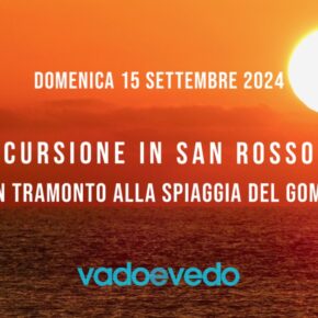 Escursione nella Tenuta di San Rossore con tramonto alla Spiaggia del Gombo